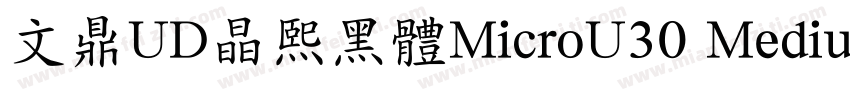 文鼎UD晶熙黑體MicroU30 Medium字体转换